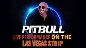 Pitbull Live Performance!